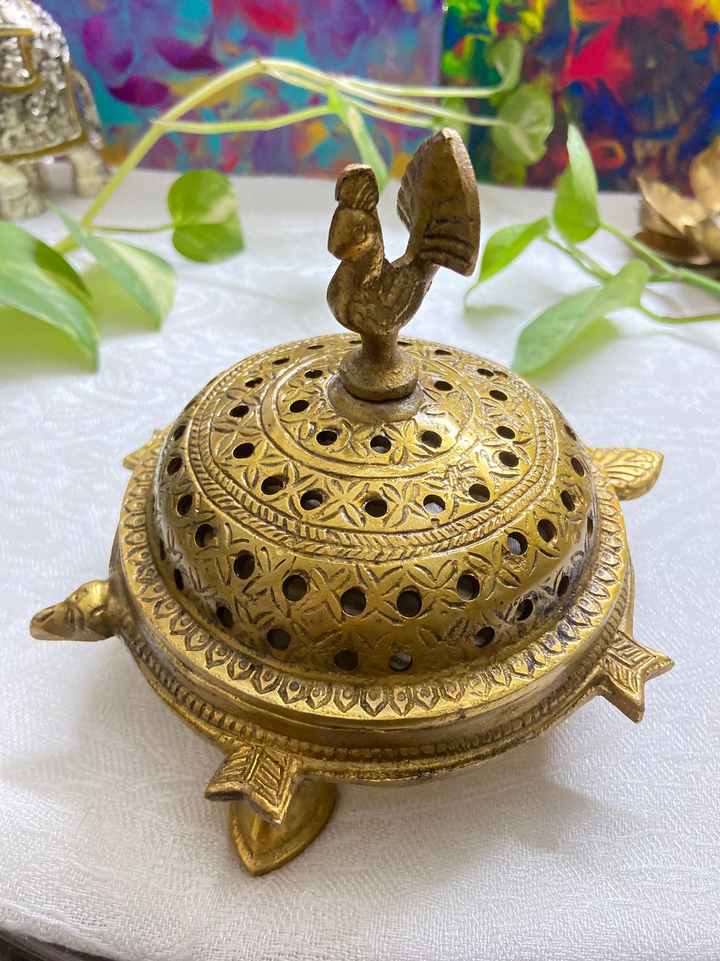 Turtle Loban (620gm)