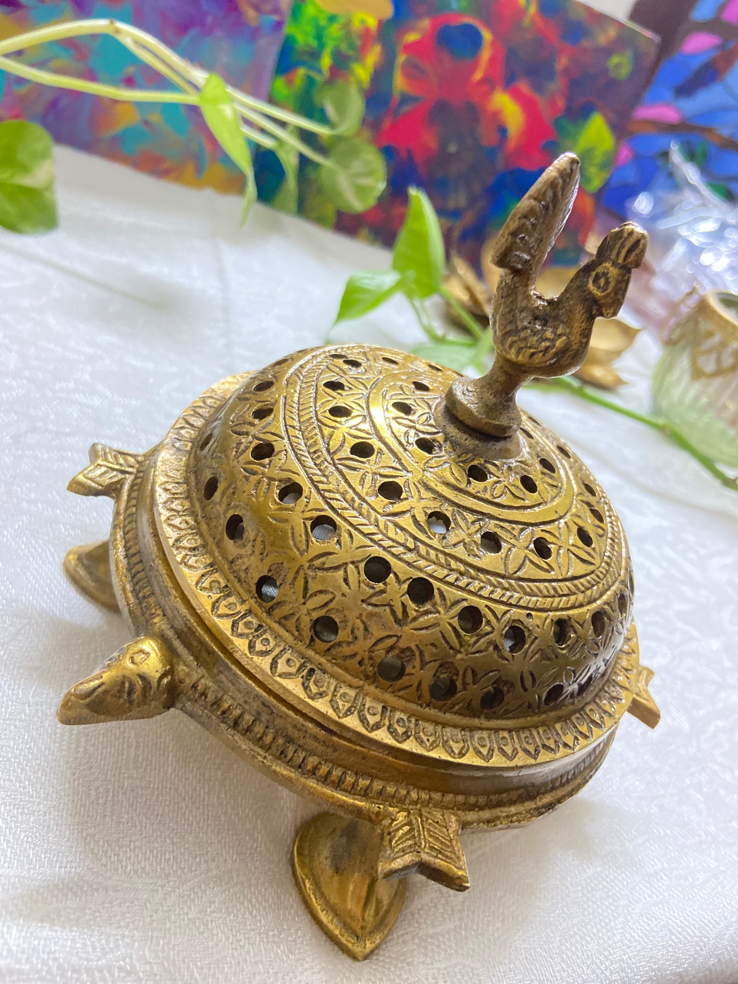 Turtle Loban (620gm)