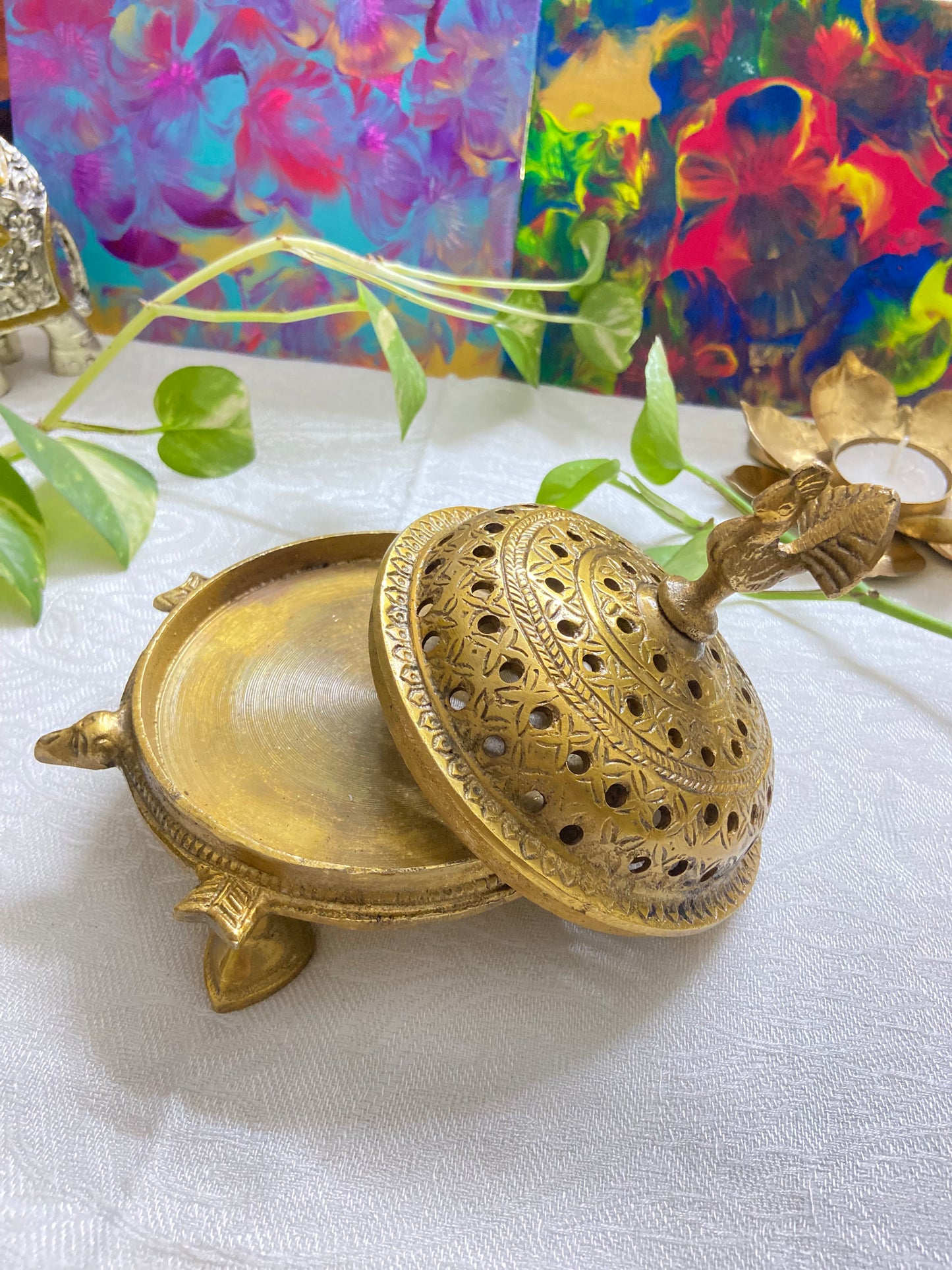 Turtle Loban (620gm)