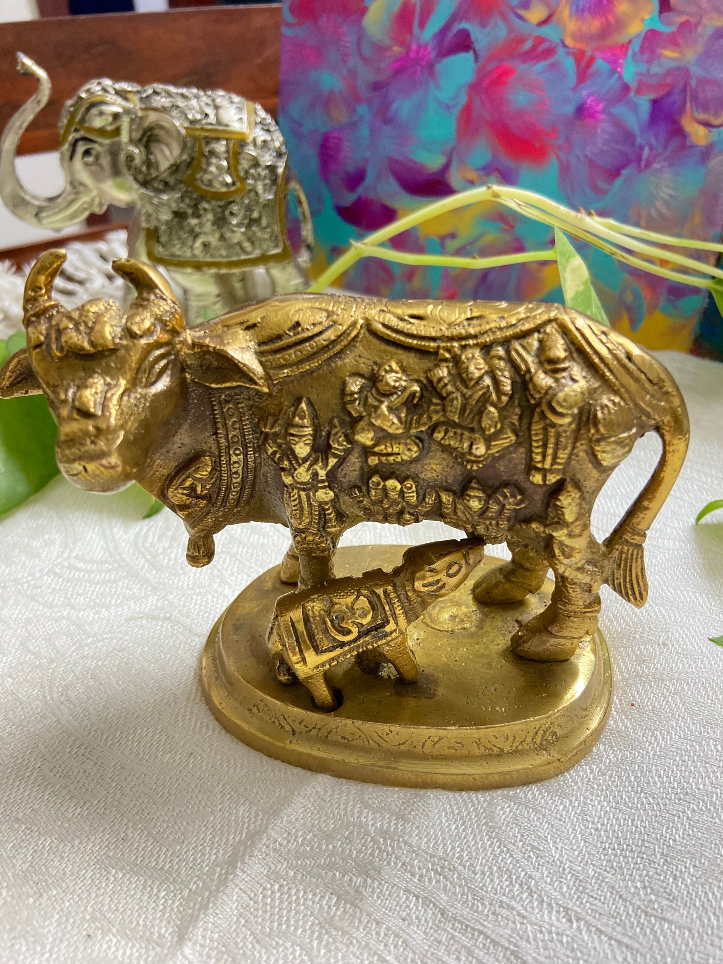 Cow (835g)