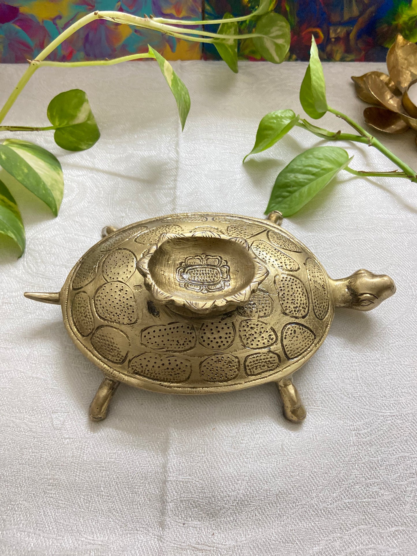 Turtle Diya(820g)