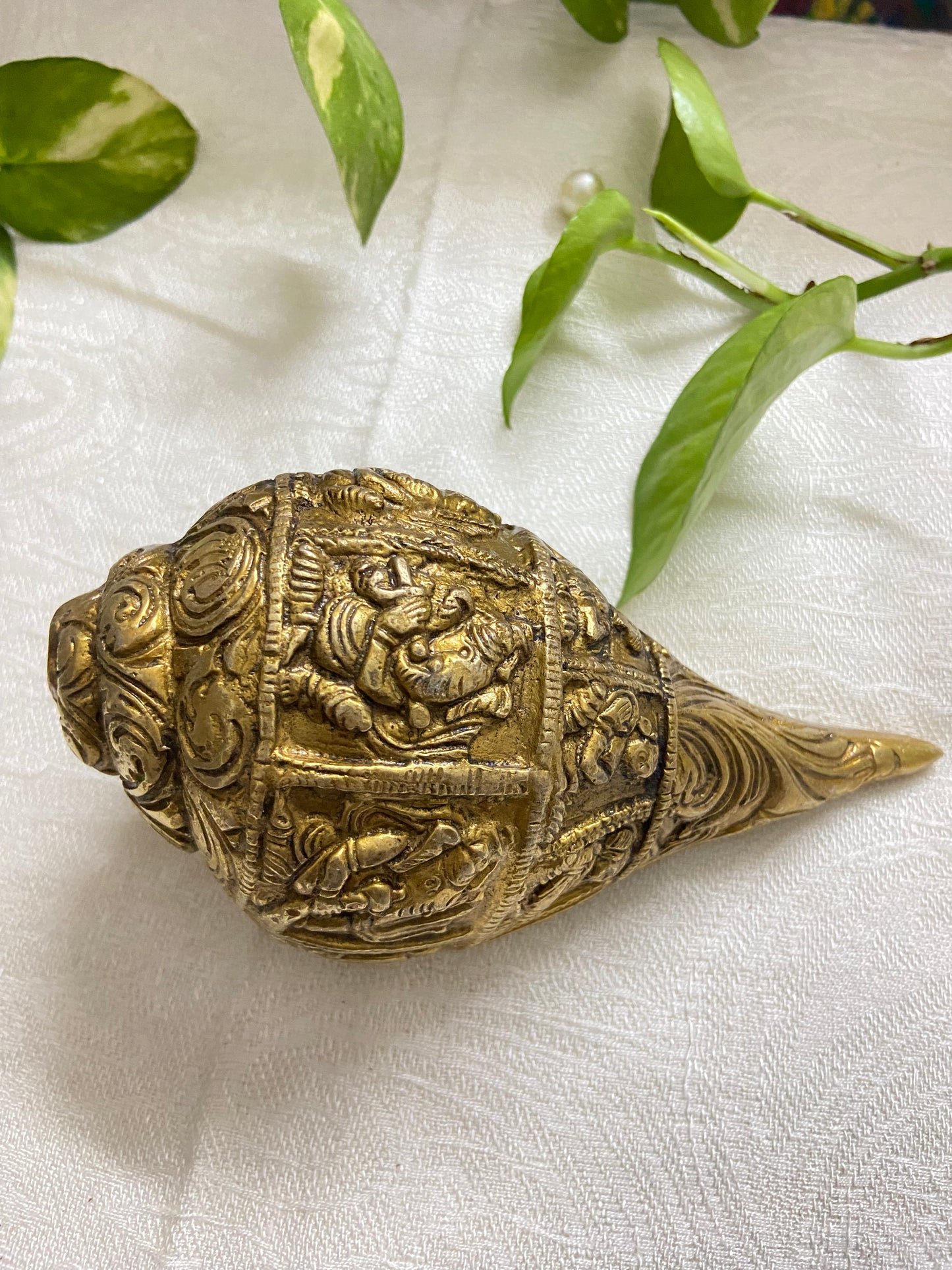 Shankh (650 g)